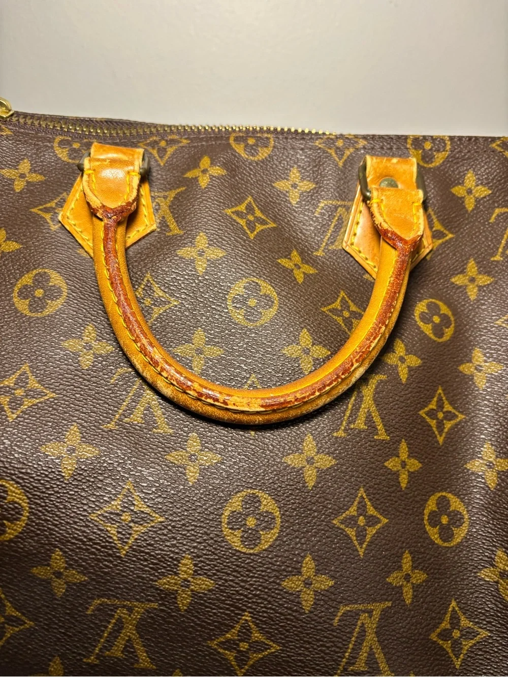 Louis Vuitton Monogram Canvas Speedy Handbag - Brown/Tan